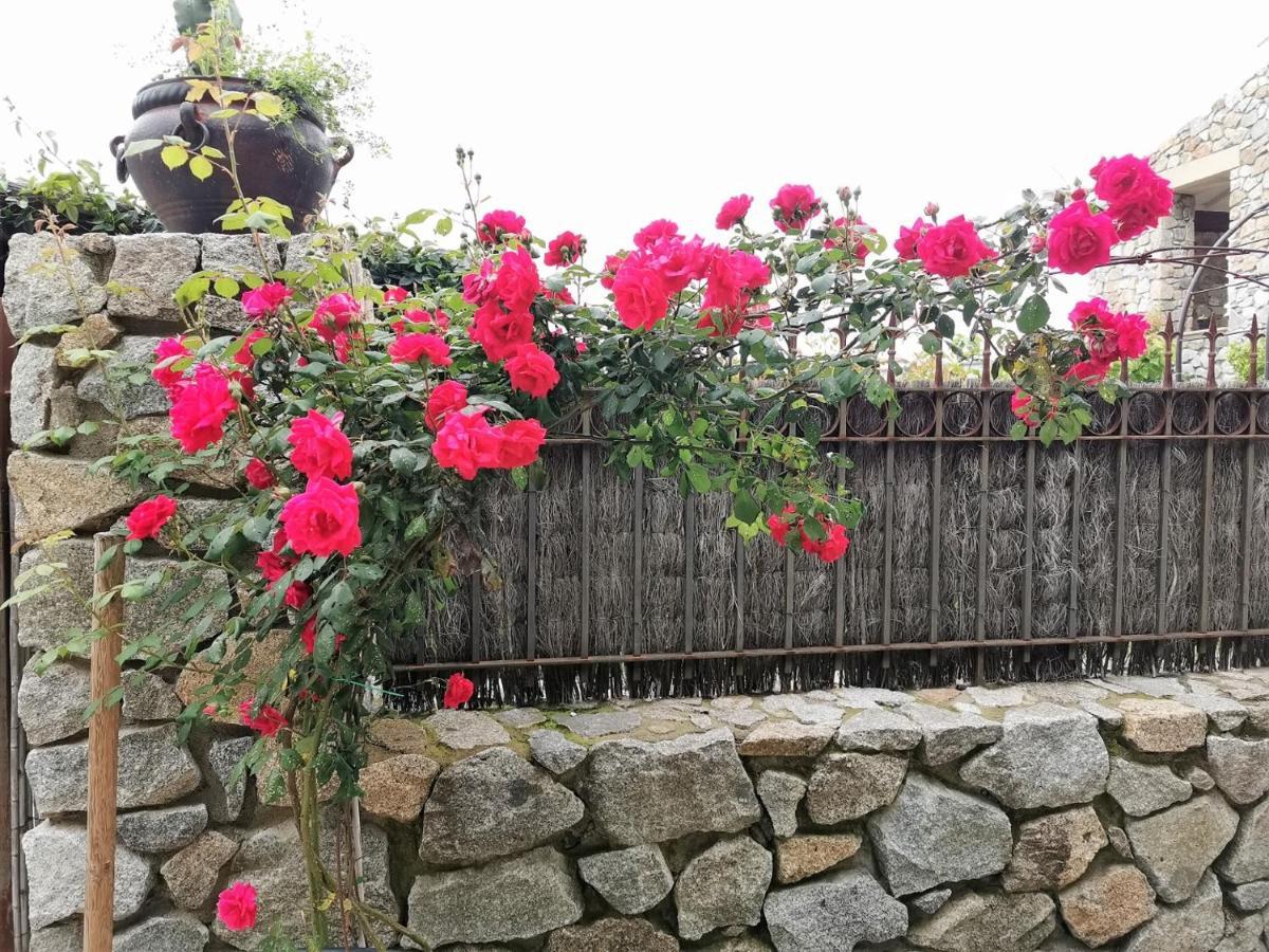 Domaine La Via Regia : Les Maisons Perpignan Exterior foto